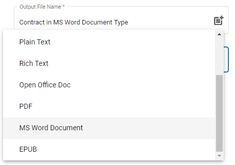 Google Docs Template